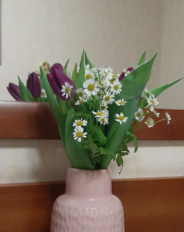 Гостиница Волна Светлогорск-226