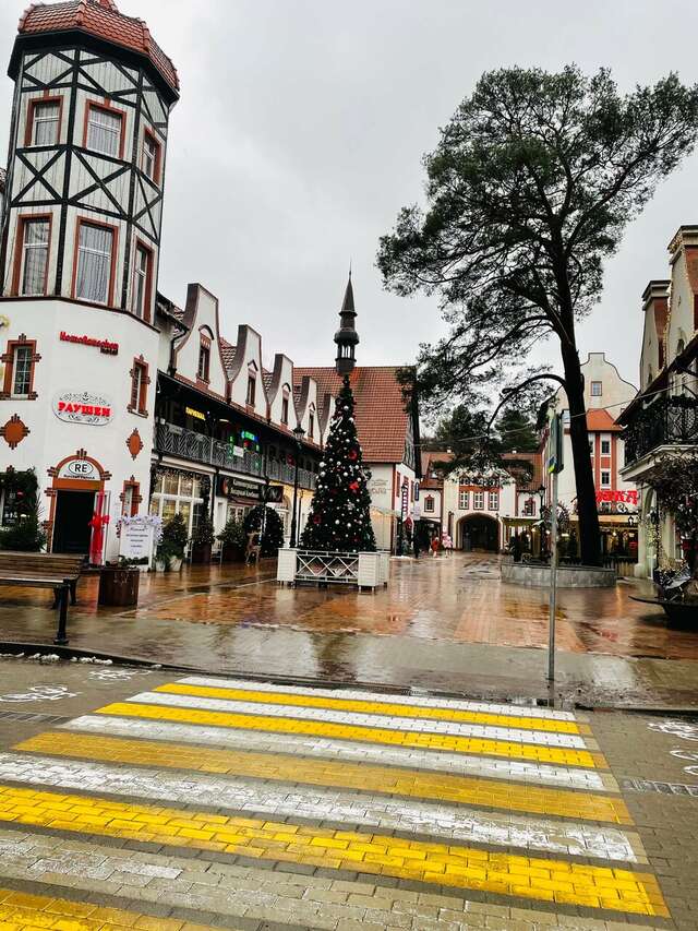 Гостиница Волна Светлогорск-77